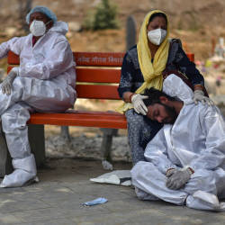 В Индии зафиксировали вспышку «черной плесени» у переживших коронавирус