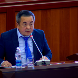 Тенгиз Бөлтүрүк «Центерранын» директорлор кеңешинен чыгуу үчүн арыз жазды