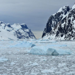 Гейтс предрек миру катастрофу в пять раз смертоноснее коронавируса