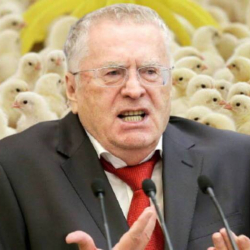 Жириновский обвинил Германию в 