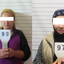 Улут аралык кастыкты козутууга шектелип эки аял кармалды