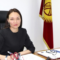 Интеллектуалдык менчик жана инновациялар боюнча агенттигине ким директор болуп келди?