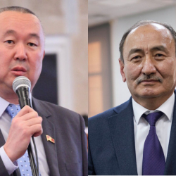 Депутат: «Саламаттыкты сактоо министри же парламент кетсин»