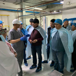 СҮРӨТ - Айыл чарба министри сүттү кайра иштетүүчү жана сыр өндүрүүчү заводго барды