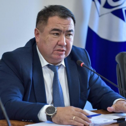 Мирлан Амантуров үй камагына чыкты