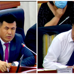 ВИДЕО - «Хуйман»: Лабораториялардын аталыштарын туура эмес айткан министр менен депутат