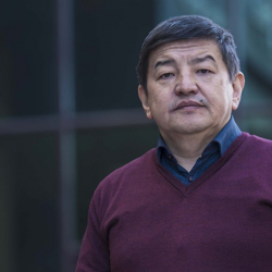 Акылбек Жапаровдун депутаттык мандаты кимге берилди?