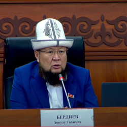 Уу коргошун аз келгенсип… Депутат «күчаланы» медицинада колдонууну сунуштады