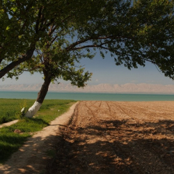 Таджикистан поделился водой с Казахстаном для орошения земель