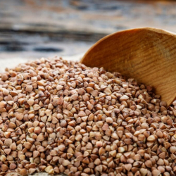 Орусия гречканы экспорттоого тыюу салды