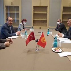 Кыргызстан менен Түркиянын Айыл чарба министрлиги кызматташат