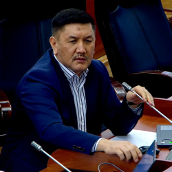 СҮРӨТ - Төрөбай Зулпукаров тарабынан жасалма дипломду колдонуу фактысы аныкталды