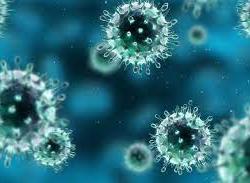 Кытайдан чыккан вирус бир күндө 9 кишинин өмүрүн алды