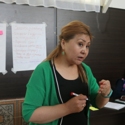 Требовали выкуп: Военные Таджикистана задержали и ограбили правозащитницу Кыргызстана