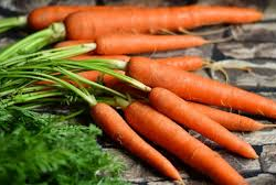 Морковный кризис: Власти объяснили почему подоражала морковка
