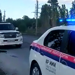 19-летний парень застрелил младшего брата