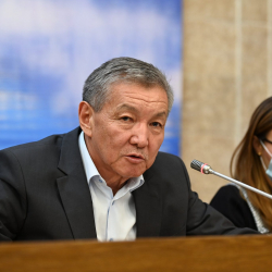 Жогорку Кеңештеги «Ата Мекен» фракциясынын лидери алмашты