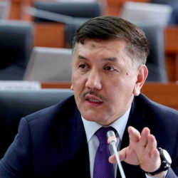 Төрөбай Зулпукаров камакта калтырылды