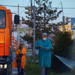 Мэрия: Бак-дарактарды дарылоочу эритме адамдар үчүн коопсуз