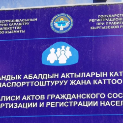 Эми Мамкаттоонун функцияларын Санариптик өнүктүрүү министрлиги аткарат