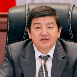 Акылбек Жээнбеков: В течение двух-трех месяцев границы закроются. Мы можем остаться без муки