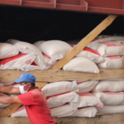 Казакстан Кыргызстанга гумжардам катары 10 тонна мөөнөтү өтүп бараткан унду берген