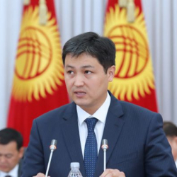 «Мойнунан байлаган ит ууга жарабайт», Марипов мамлекеттин жүгүн тарта албай калганда