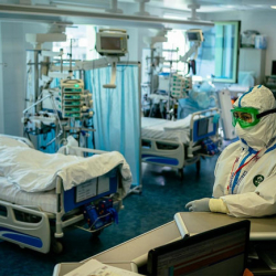 Бир суткада 1081 адамдан коронавирус табылып, 5 бейтап каза болду