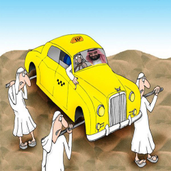 Аялдарга тыюу салууларды жакында эле алышкан арабдар эч транспорт жүрбөй турган шаар кура башташты