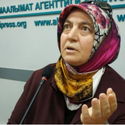 Орхан Инандынын жубайы президентке үчүнчү ирет кайрылды