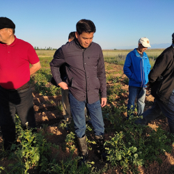 СҮРӨТ - Мирбек Кожоев таңкы саат 5тен баштап суу жетпеген айдоо жерлерди кыдырууда