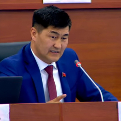 ФОТО - В Кыргызстане призывают закрыть TikTok. Депутат Шайлообек Атазов уже лайкнул