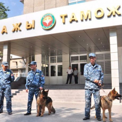 Бажы кызматы: Быйыл аткезчилик фактылары 115 % көп аныкталды