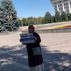 Орхан Инандынын жубайы жалгыз митингге чыкты