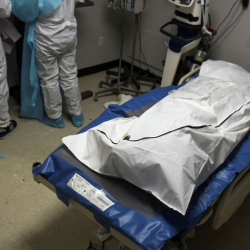 Пандемияда жүрөк-кан тамыр ооруларынан көз жумгандар көбөйдү