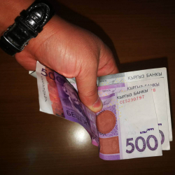 Добуш сатып алууга шектелип талапкердин жакын тууганы кармалды