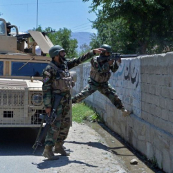 Эрика Марат: 