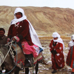 Кыргызстан примет бежавших из Афганистана в Таджикистан этнических кыргызов