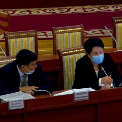 Депутат: «Жаңы шайлоо мыйзамы өтүп калса, партиялар жанындагы эки «золотою» жана эки олигарх менен келет»