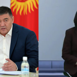 Канышай Мамыркулова: «Абамдын аялы кандай кызмат аркалап жатат?»