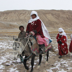Власти готовят место для переселения афганских кыргызов, бежавших от талибов