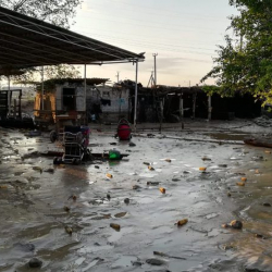 Сузактагы селден 450гө жакын үй жабыркаган