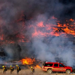 CҮРӨТ - Калифорнияда чыккан жалын 21 күндөн бери уланууда