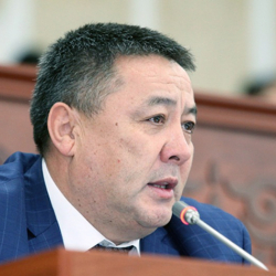 Депутат Ормонов пожаловался на работу Артема Новикова