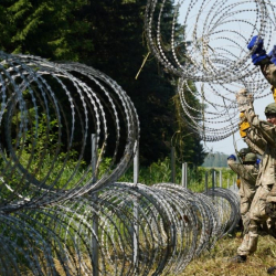Беларустан Литвага мыйзамсыз өткөн мигранттардын тобу кармалды