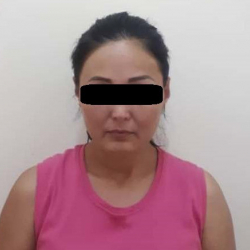 Кыргызстан жана Түркияда алдамчылыкка шектелген аял кармалды