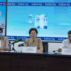 ВИДЕО - Зарема Аскарова: “Айрым мыйзам долбоорлорунун эки пакетин бекитүү пландалып жатат”