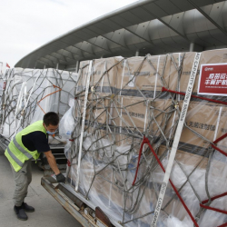 1,25 млн доза өлчөмүндөгү Sinopharm вакцинасынын жаңы партиясы келди