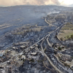 ФОТО - Лесные пожары в Турции показали на снимках из космоса