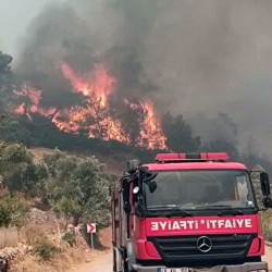 В Турции потушили лесной пожар в районе аэропорта